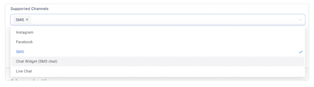 Channels supported in the Conversation AI for GoHighLevel.